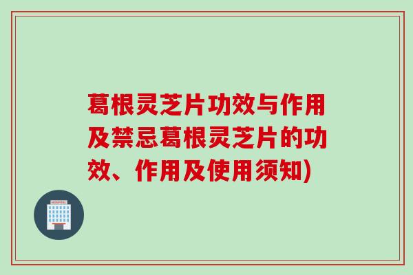 葛根灵芝片功效与作用及禁忌葛根灵芝片的功效、作用及使用须知)