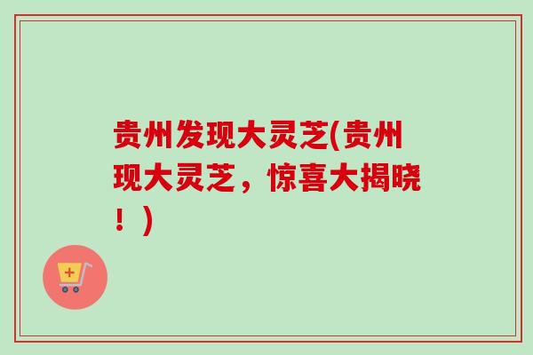 贵州发现大灵芝(贵州现大灵芝，惊喜大揭晓！)