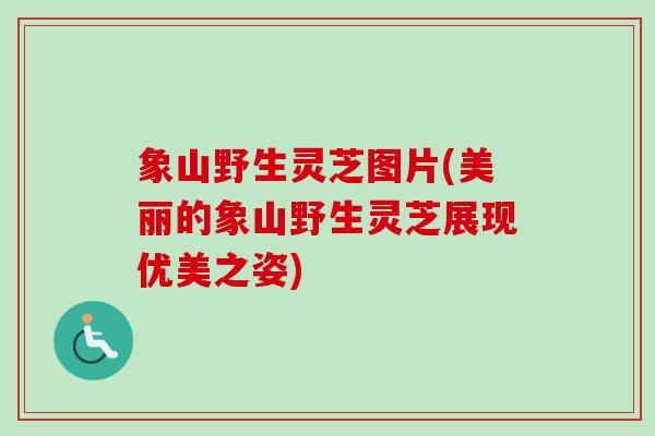 象山野生灵芝图片(美丽的象山野生灵芝展现优美之姿)