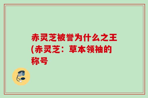 赤灵芝被誉为什么之王(赤灵芝：草本领袖的称号