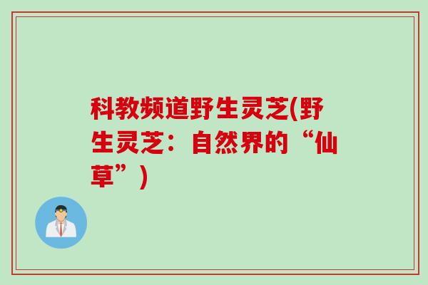 科教频道野生灵芝(野生灵芝：自然界的“仙草”)