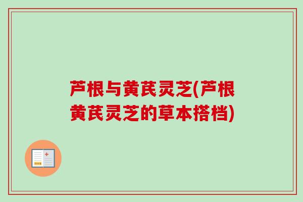芦根与黄芪灵芝(芦根黄芪灵芝的草本搭档)