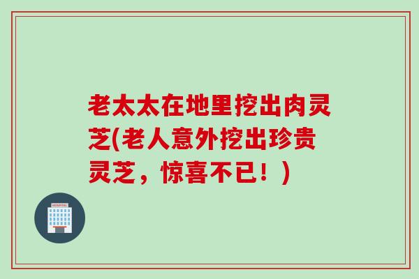 老太太在地里挖出肉灵芝(老人意外挖出珍贵灵芝，惊喜不已！)