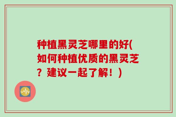 种植黑灵芝哪里的好(如何种植优质的黑灵芝？建议一起了解！)
