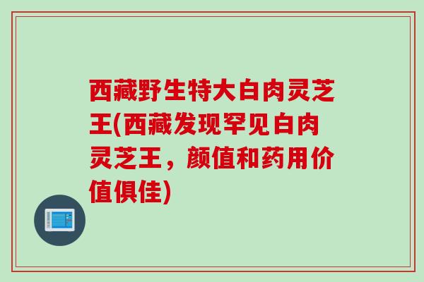 西藏野生特大白肉灵芝王(西藏发现罕见白肉灵芝王，颜值和药用价值俱佳)