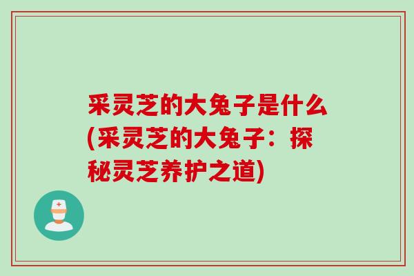 采灵芝的大兔子是什么(采灵芝的大兔子：探秘灵芝养护之道)
