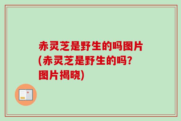 赤灵芝是野生的吗图片(赤灵芝是野生的吗？图片揭晓)