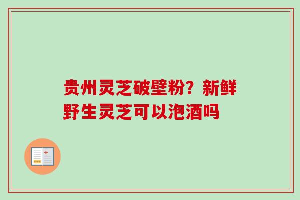 贵州灵芝破壁粉？新鲜野生灵芝可以泡酒吗
