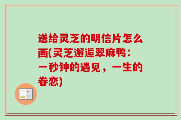 送给灵芝的明信片怎么画(灵芝邂逅翠麻鸭：一秒钟的遇见，一生的眷恋)