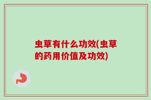 虫草有什么功效(虫草的药用价值及功效)