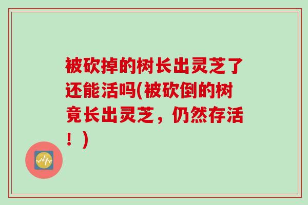 被砍掉的树长出灵芝了还能活吗(被砍倒的树竟长出灵芝,仍然存活!) 被砍掉的树长出灵芝了还能活吗(被砍倒的树竟长出灵芝,仍然存活!)