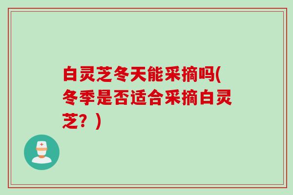 白灵芝冬天能采摘吗(冬季是否适合采摘白灵芝？)