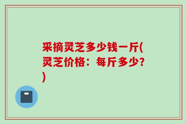 采摘灵芝多少钱一斤(灵芝价格:每斤多少?) 采摘灵芝多少钱一斤(灵芝价格:每斤多少?)