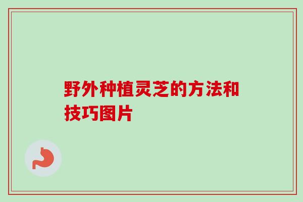 野外种植灵芝的方法和技巧图片