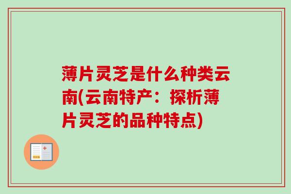 薄片灵芝是什么种类云南(云南特产：探析薄片灵芝的品种特点)