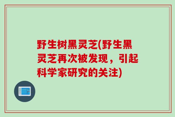野生树黑灵芝(野生黑灵芝再次被发现，引起科学家研究的关注)