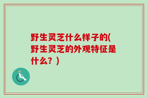 野生灵芝什么样子的(野生灵芝的外观特征是什么？)