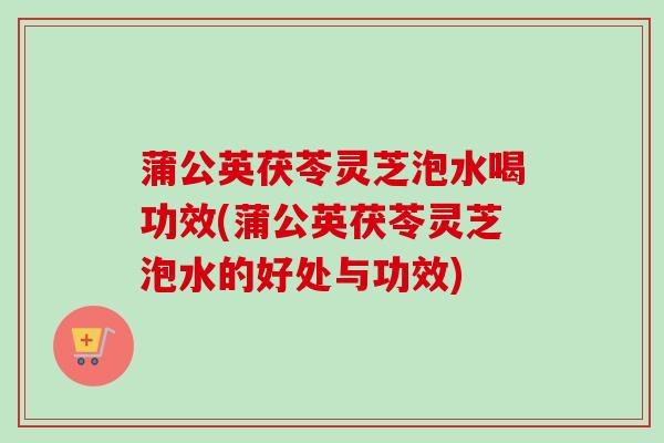 蒲公英茯苓灵芝泡水喝功效(蒲公英茯苓灵芝泡水的好处与功效)