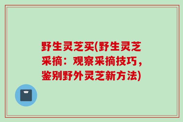 野生灵芝买(野生灵芝采摘:观察采摘技巧,鉴别野外灵芝新方法) 野生灵芝买(野生灵芝采摘:观察采摘技巧,鉴别野外灵芝新方法)