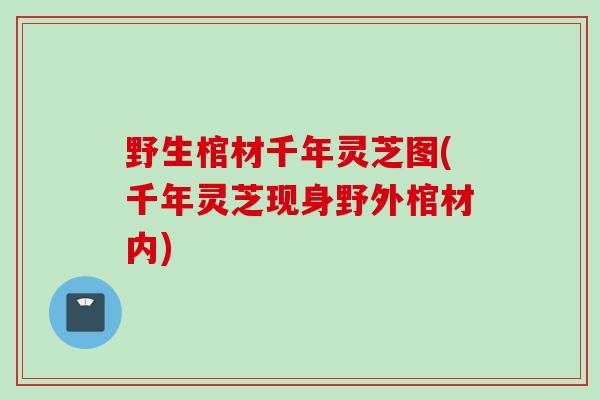 野生棺材千年灵芝图(千年灵芝现身野外棺材内)