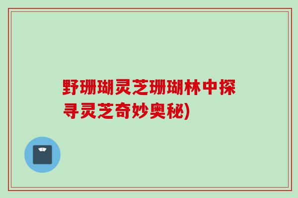野珊瑚灵芝珊瑚林中探寻灵芝奇妙奥秘)