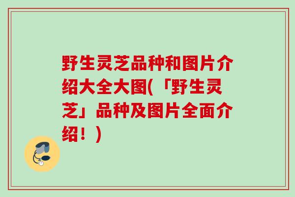 野生灵芝品种和图片介绍大全大图(「野生灵芝」品种及图片全面介绍!) 野生灵芝品种和图片介绍大全大图(「野生灵芝」品种及图片全面介绍!)