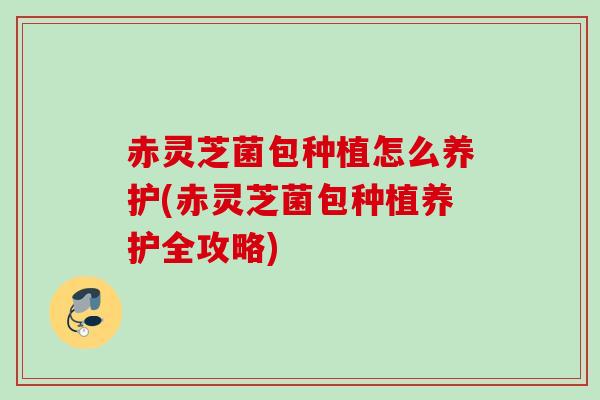 赤灵芝菌包种植怎么养护(赤灵芝菌包种植养护全攻略)