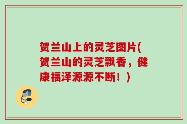 贺兰山上的灵芝图片(贺兰山的灵芝飘香，健康福泽源源不断！)