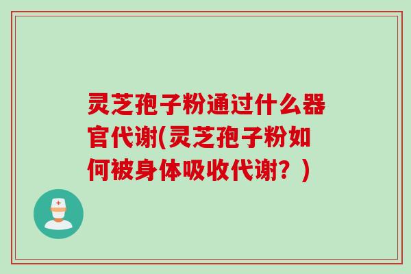 灵芝孢子粉通过什么器官代谢(灵芝孢子粉如何被身体吸收代谢?) 灵芝孢子粉通过什么器官代谢(灵芝孢子粉如何被身体吸收代谢?)
