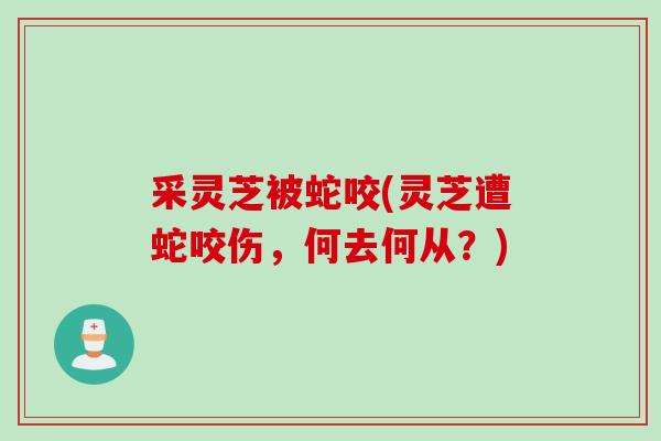 采灵芝被蛇咬(灵芝遭蛇咬伤，何去何从？)