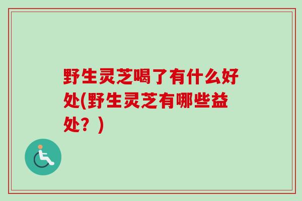 野生灵芝喝了有什么好处(野生灵芝有哪些益处?) 野生灵芝喝了有什么好处(野生灵芝有哪些益处?)
