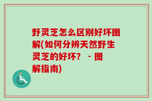 野灵芝怎么区别好坏图解(如何分辨天然野生灵芝的好坏？ - 图解指南)
