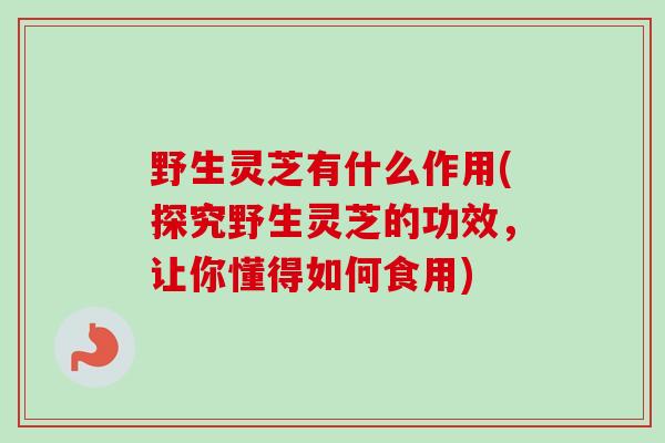 野生灵芝有什么作用(探究野生灵芝的功效，让你懂得如何食用)