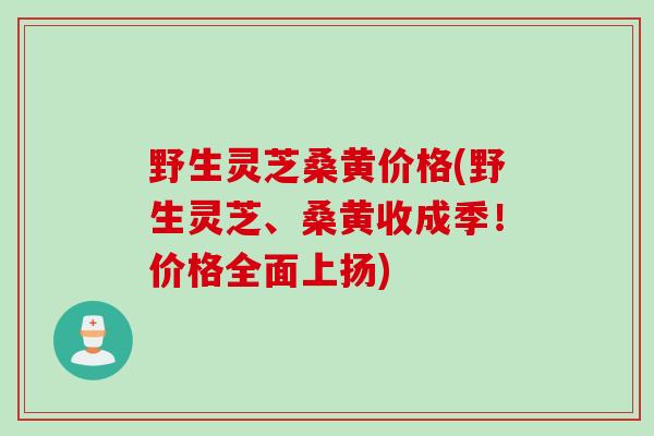 野生灵芝桑黄价格(野生灵芝、桑黄收成季！价格全面上扬)