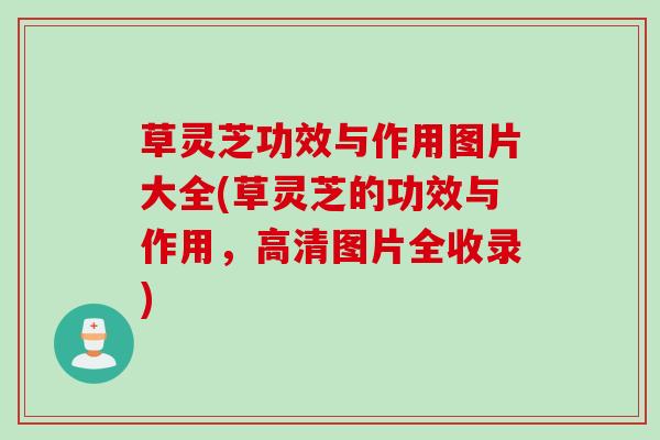 草灵芝功效与作用图片大全(草灵芝的功效与作用，高清图片全收录)