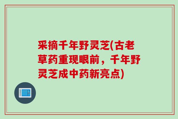 采摘千年野灵芝(古老草药重现眼前，千年野灵芝成中药新亮点)