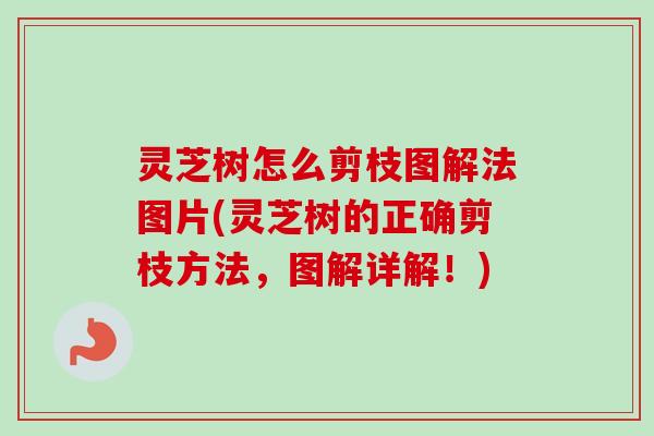 灵芝树怎么剪枝图解法图片(灵芝树的正确剪枝方法，图解详解！)