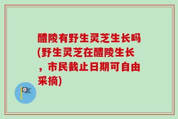 醴陵有野生灵芝生长吗(野生灵芝在醴陵生长，市民截止日期可自由采摘)