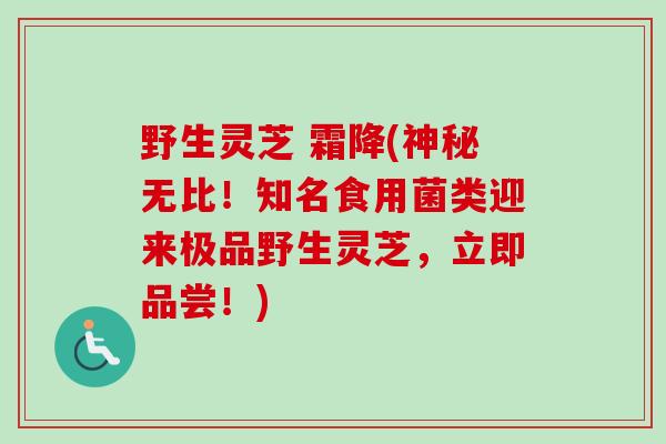野生灵芝 霜降(神秘无比！知名食用菌类迎来极品野生灵芝，立即品尝！)