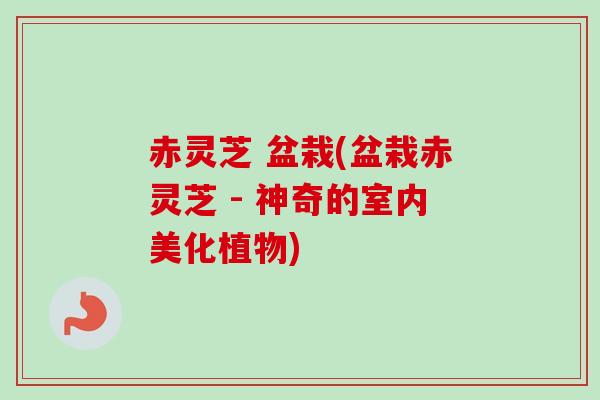 赤灵芝 盆栽(盆栽赤灵芝 - 神奇的室内美化植物)