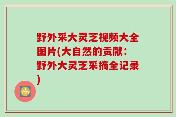 野外采大灵芝视频大全图片(大自然的贡献：野外大灵芝采摘全记录)