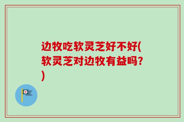 边牧吃软灵芝好不好(软灵芝对边牧有益吗？)