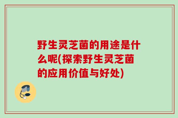 野生灵芝菌的用途是什么呢(探索野生灵芝菌的应用价值与好处)