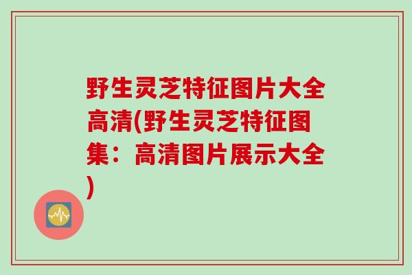 野生灵芝特征图片大全高清(野生灵芝特征图集：高清图片展示大全)