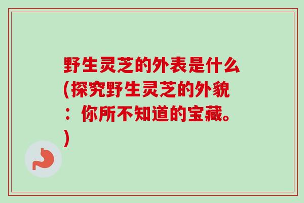 野生灵芝的外表是什么(探究野生灵芝的外貌：你所不知道的宝藏。)