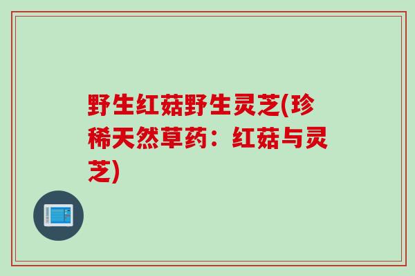 野生红菇野生灵芝(珍稀天然草药：红菇与灵芝)