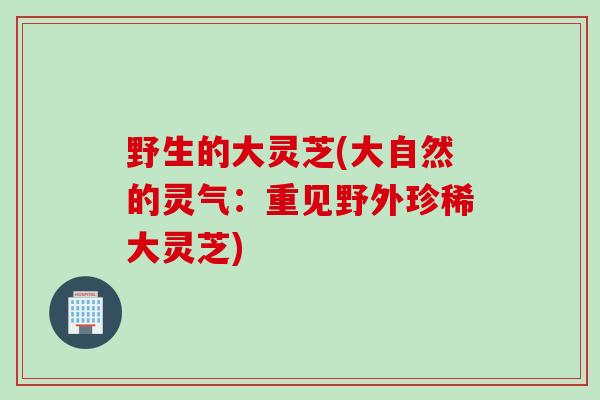 野生的大灵芝(大自然的灵气：重见野外珍稀大灵芝)