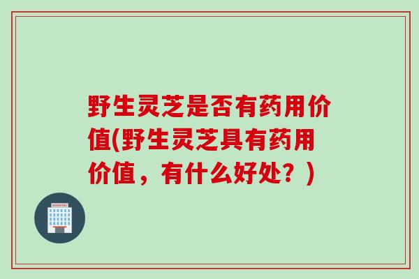 野生灵芝是否有药用价值(野生灵芝具有药用价值，有什么好处？)