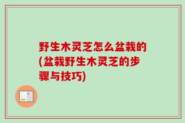 野生木灵芝怎么盆栽的(盆栽野生木灵芝的步骤与技巧)