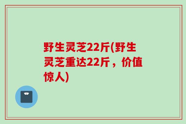野生灵芝22斤(野生灵芝重达22斤，价值惊人)